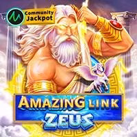 Amazing Zeus
